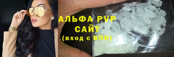прущие грибы Зеленодольск