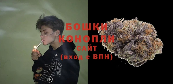 прущие грибы Зеленодольск