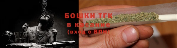 прущие грибы Зеленодольск