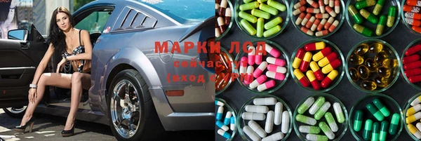 прущие грибы Зеленодольск