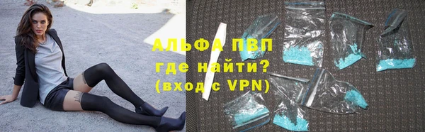 прущие грибы Зеленодольск