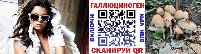 Галлюциногенные грибы мицелий  Купить где  Михайловск 