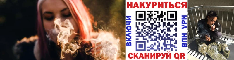 Конопля сатива  Купить закладки  Михайловск 